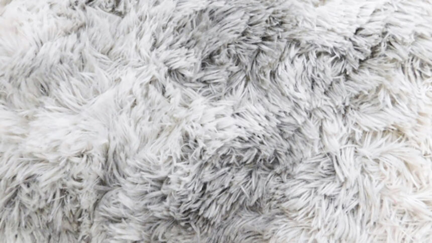 冬におすすめのカーペットの選び方の解説